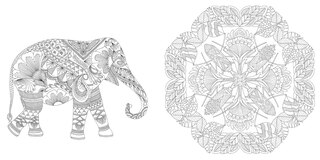 Sample content 4_Animal Kingdom