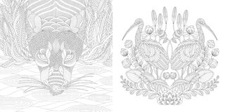 Sample content 5_Animal Kingdom