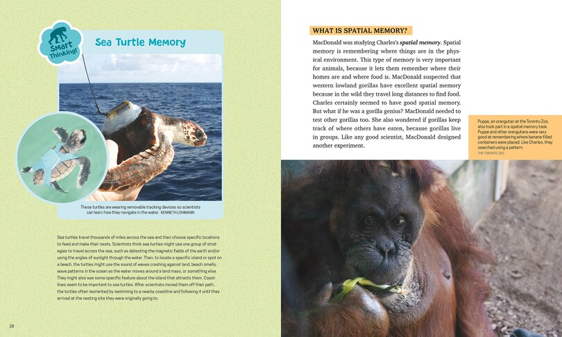 Sample content 4_Animal Minds