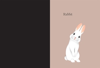 Aperçu du contenu 2_Animal Portraits