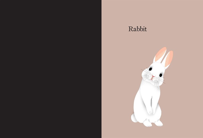 Aperçu du contenu 2_Animal Portraits