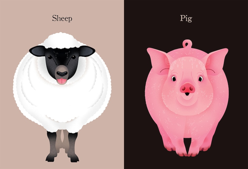 Aperçu du contenu 3_Animal Portraits