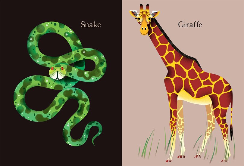 Aperçu du contenu 4_Animal Portraits