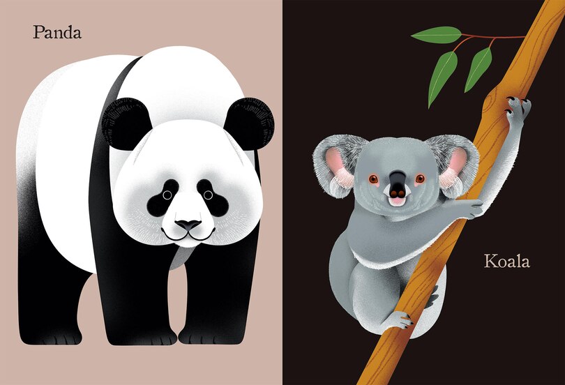 Aperçu du contenu 5_Animal Portraits