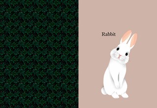 Sample content_Animal Portraits