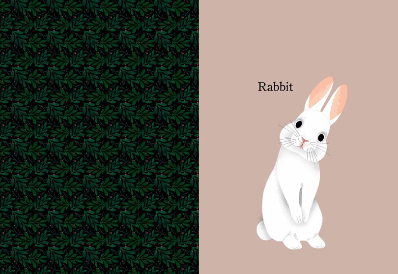 Sample content_Animal Portraits