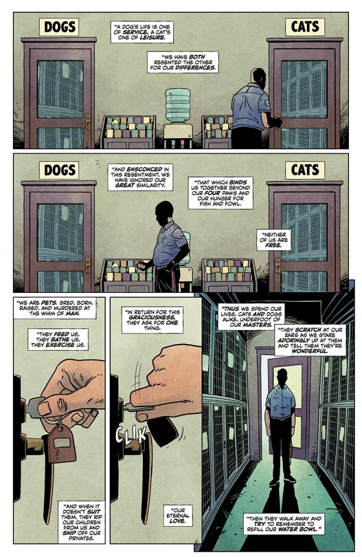 Sample content 3_Animal Pound