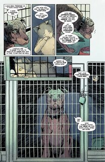 Sample content 4_Animal Pound