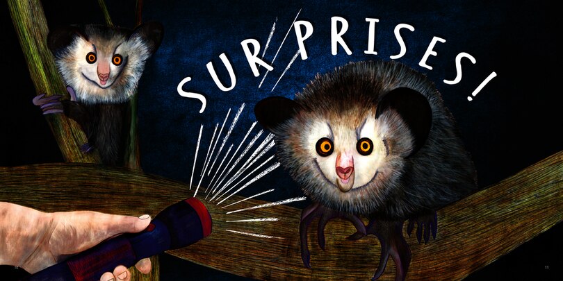 Sample content_Animal Surprises