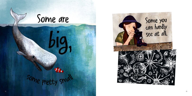 Sample content 2_Animal Surprises