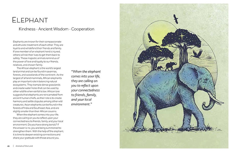 Sample content 5_Animal Wisdom