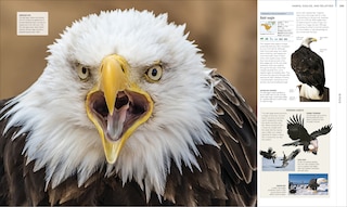 Sample content 3_Animal