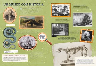 Sample content 2_Animales asombrosos. Un recorrido fascinante por la biodiversidad / Amazing Animals: A Fascinating Journey Through Biodiversity