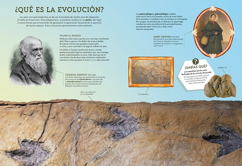 Sample content 3_Animales asombrosos. Un recorrido fascinante por la biodiversidad / Amazing Animals: A Fascinating Journey Through Biodiversity