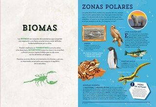 Sample content 5_Animales asombrosos. Un recorrido fascinante por la biodiversidad / Amazing Animals: A Fascinating Journey Through Biodiversity