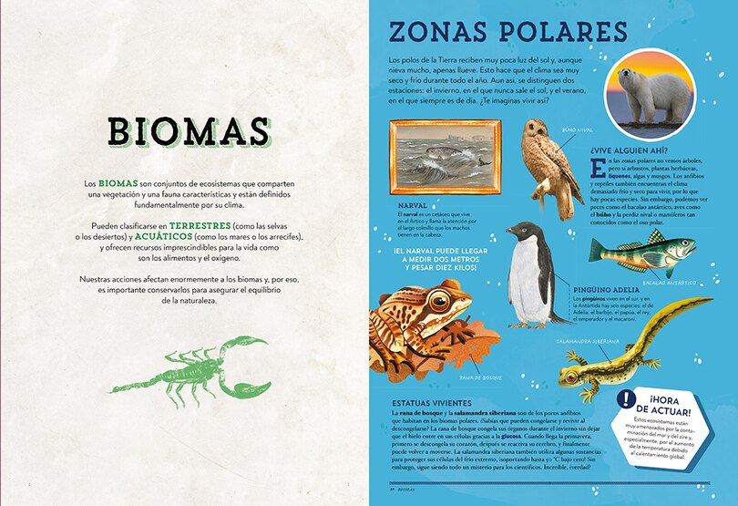 Sample content 5_Animales asombrosos. Un recorrido fascinante por la biodiversidad / Amazing Animals: A Fascinating Journey Through Biodiversity