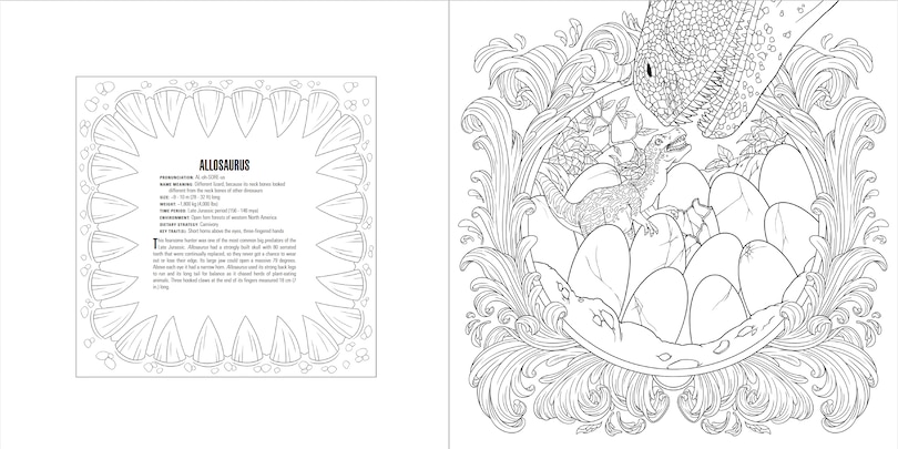 Aperçu du contenu_Animals: A Smithsonian Coloring Book Box Set