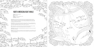 Aperçu du contenu 2_Animals: A Smithsonian Coloring Book Box Set