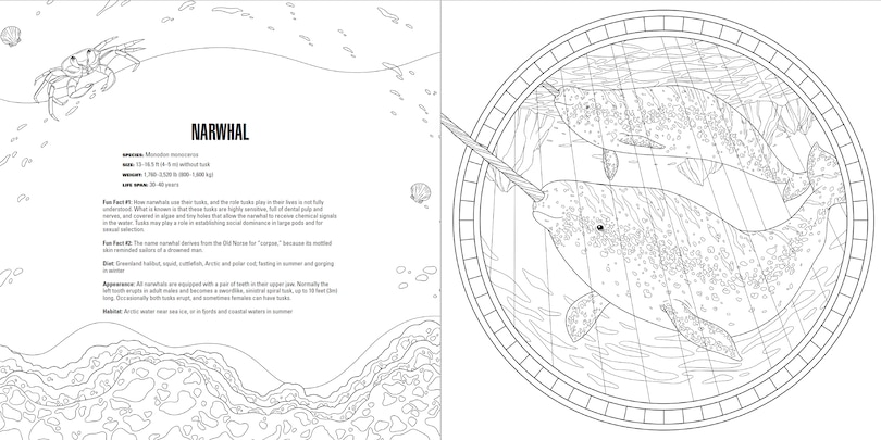 Aperçu du contenu 3_Animals: A Smithsonian Coloring Book Box Set