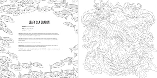 Aperçu du contenu 4_Animals: A Smithsonian Coloring Book Box Set