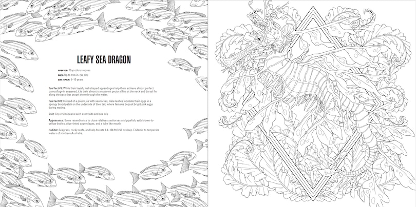 Aperçu du contenu 4_Animals: A Smithsonian Coloring Book Box Set