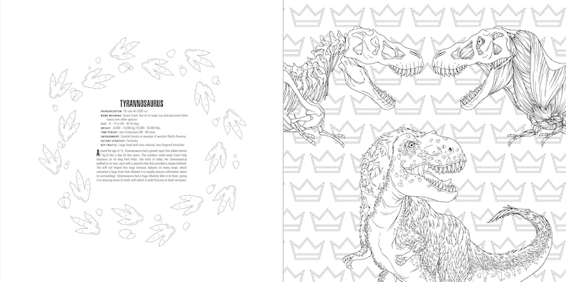 Aperçu du contenu 5_Animals: A Smithsonian Coloring Book Box Set