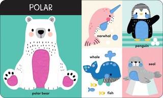 Aper&ccedil;u du contenu_Animals: A Touch-and-Feel First Words Book