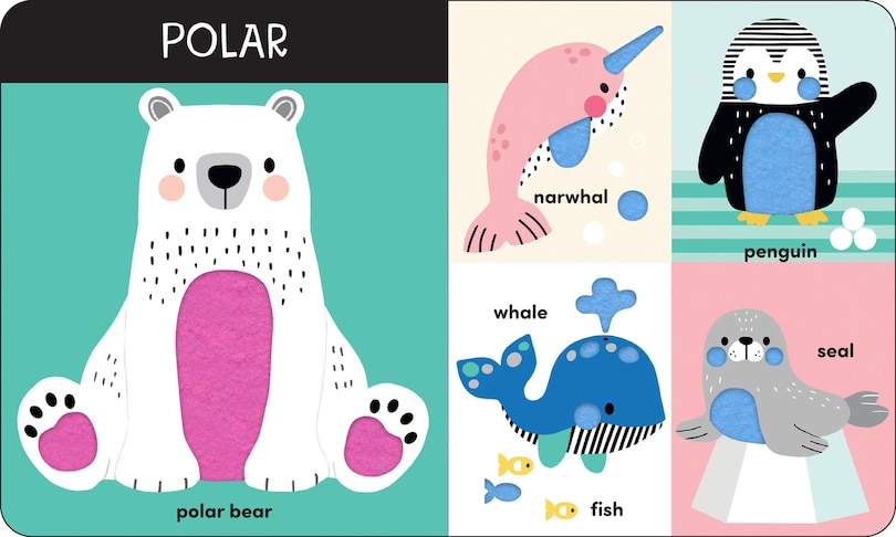 Aper&ccedil;u du contenu_Animals: A Touch-and-Feel First Words Book