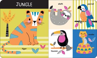 Aper&ccedil;u du contenu 2_Animals: A Touch-and-Feel First Words Book