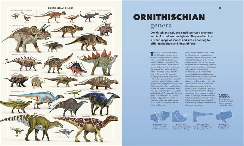 Animals A Visual Compendium: An Incredible Guide To The Animal Kingdom ...