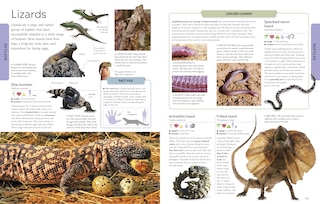 Sample content_Animals A Visual Encyclopedia