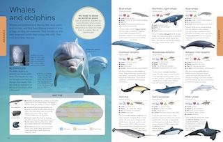 Sample content 2_Animals A Visual Encyclopedia