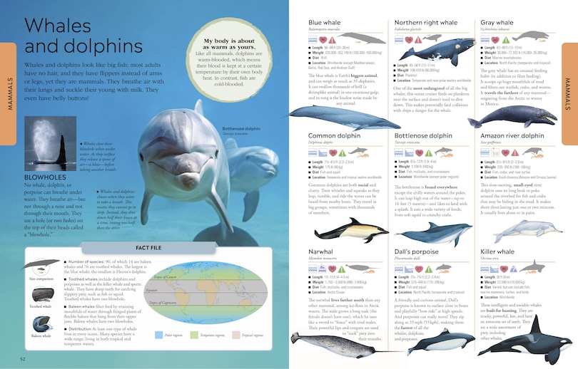 Sample content 2_Animals A Visual Encyclopedia