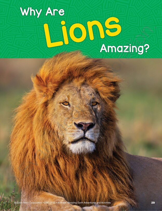 Aperçu du contenu_Animals: Amazing Earth Adventures and Activities, Age 6 - 7 Workbook