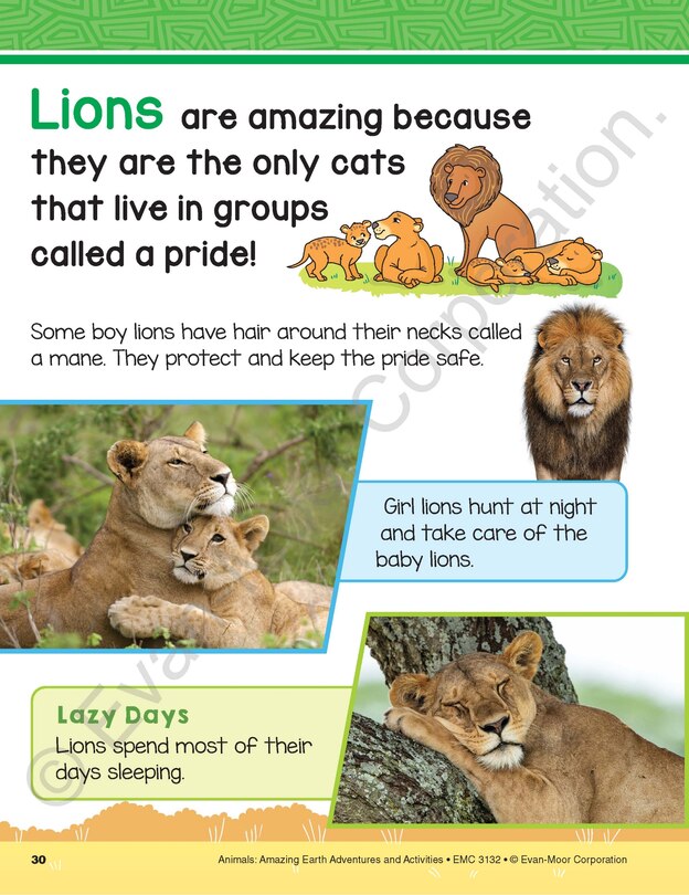 Aperçu du contenu 2_Animals: Amazing Earth Adventures and Activities, Age 6 - 7 Workbook