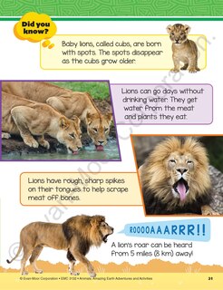 Aperçu du contenu 3_Animals: Amazing Earth Adventures and Activities, Age 6 - 7 Workbook