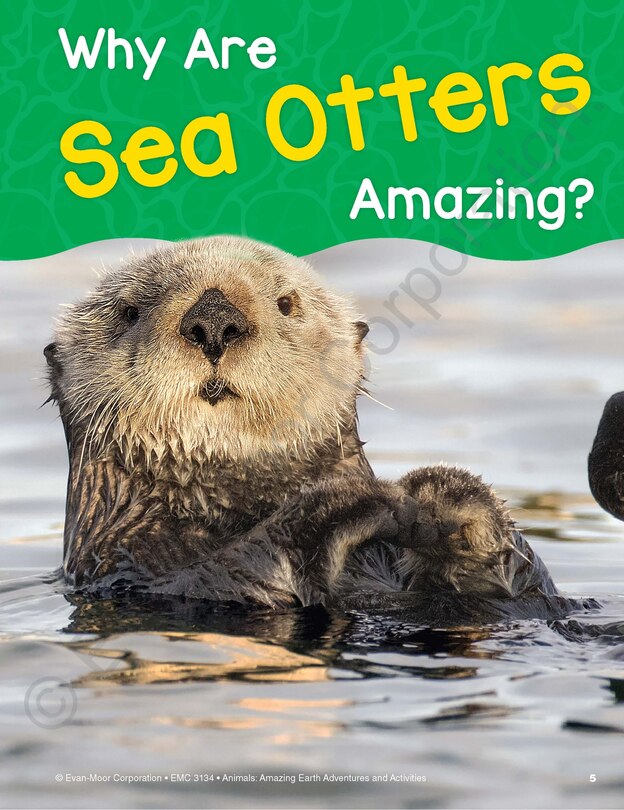 Aperçu du contenu_Animals: Amazing Earth Adventures and Activities, Age 10 - 11 Workbook