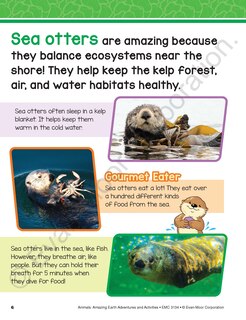 Aperçu du contenu 2_Animals: Amazing Earth Adventures and Activities, Age 10 - 11 Workbook