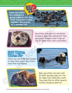 Aperçu du contenu 3_Animals: Amazing Earth Adventures and Activities, Age 10 - 11 Workbook