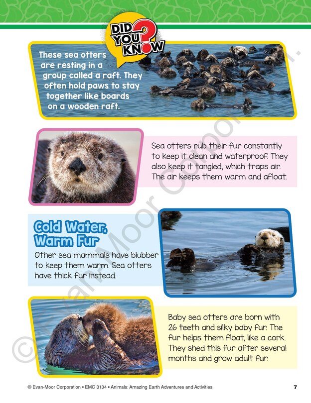 Aperçu du contenu 3_Animals: Amazing Earth Adventures and Activities, Age 10 - 11 Workbook