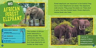 Aperçu du contenu 2_Animals at Risk (Wild World: Top 10)