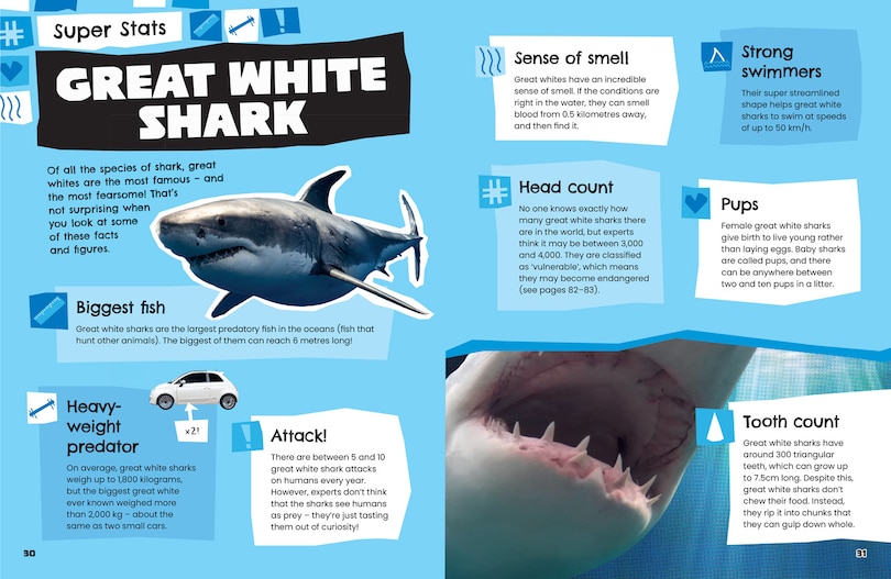 Aperçu du contenu_Animals