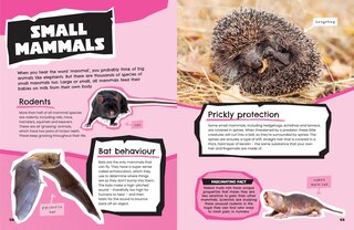 Aperçu du contenu 2_Animals