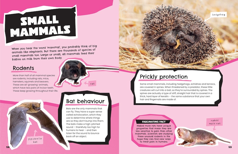 Aperçu du contenu 2_Animals