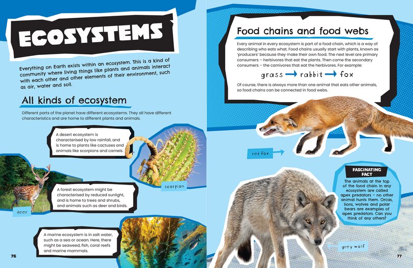 Aperçu du contenu 3_Animals