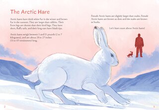 Aper&ccedil;u du contenu_Animals Illustrated: Arctic Hare
