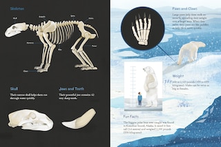 Sample content_Animals Illustrated: Arctic Land Mammals