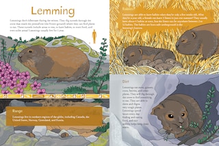 Sample content 2_Animals Illustrated: Arctic Land Mammals