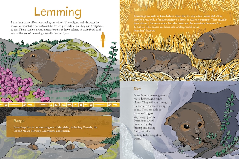 Sample content 2_Animals Illustrated: Arctic Land Mammals