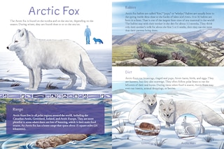 Sample content 3_Animals Illustrated: Arctic Land Mammals